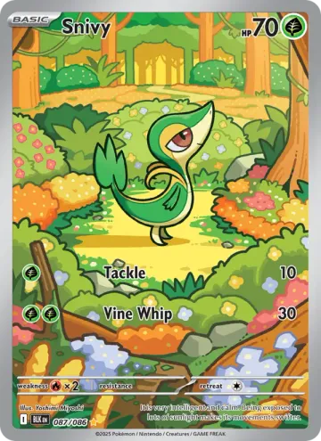 주리비얀 영어판