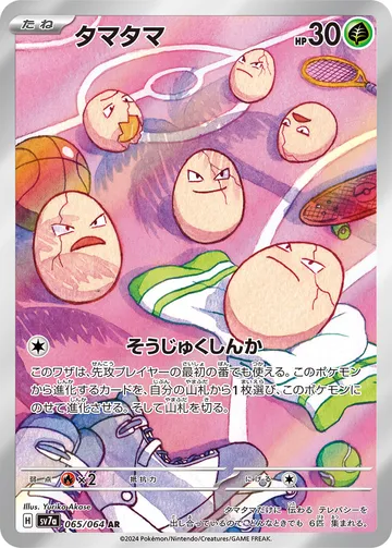 아라리 일본판