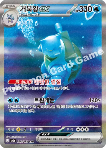 거북왕 ex