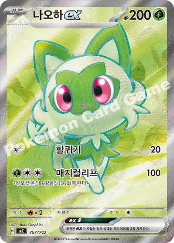 나오하 ex