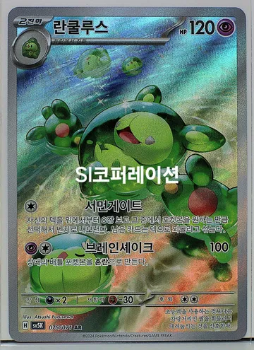 란쿨루스