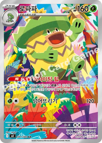 로파파