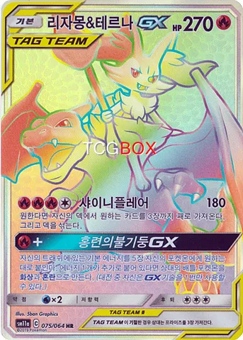 리자몽 & 테르나 GX
