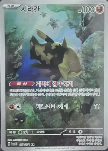 시라칸