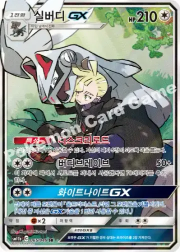 실버디 GX