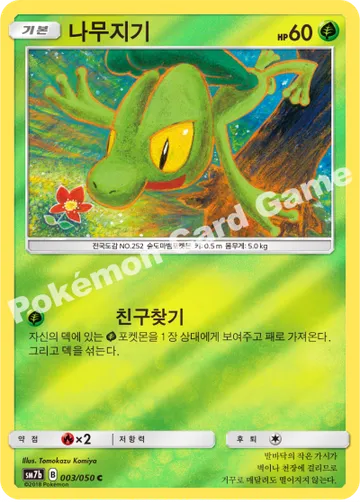 알로라나인테일 GX