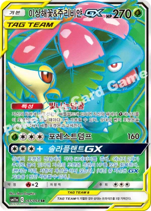 이상해꽃&주리비얀 GX