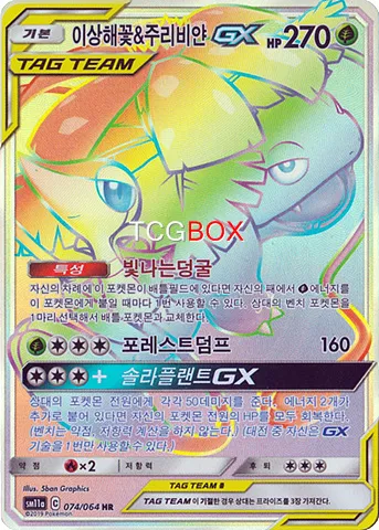 이상해꽃 & 주리비얀 GX