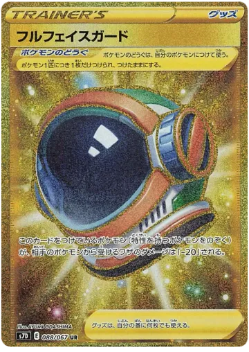 풀 페이스 가드